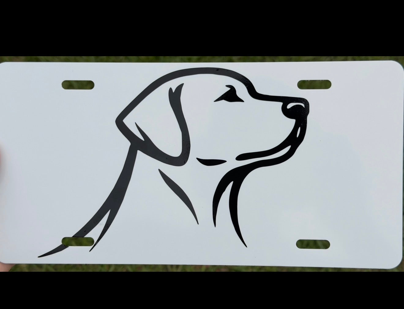 Mad Southern Lab Front Plate